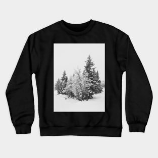 Snow-Covered Fir Trees in Frozen Winter Landscape in Black and White Crewneck Sweatshirt